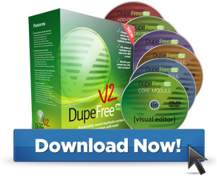 Download DupeFree Pro Now!