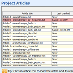 Project Articles Window