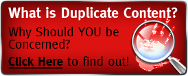 What is Duplicate Content?